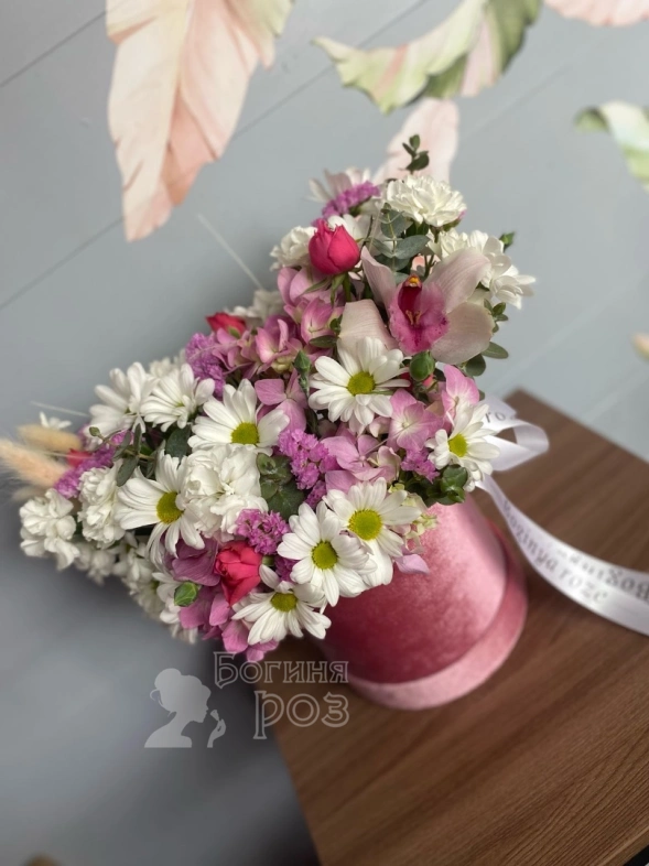 Нежный бокс