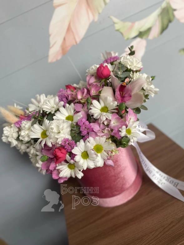 Нежный бокс