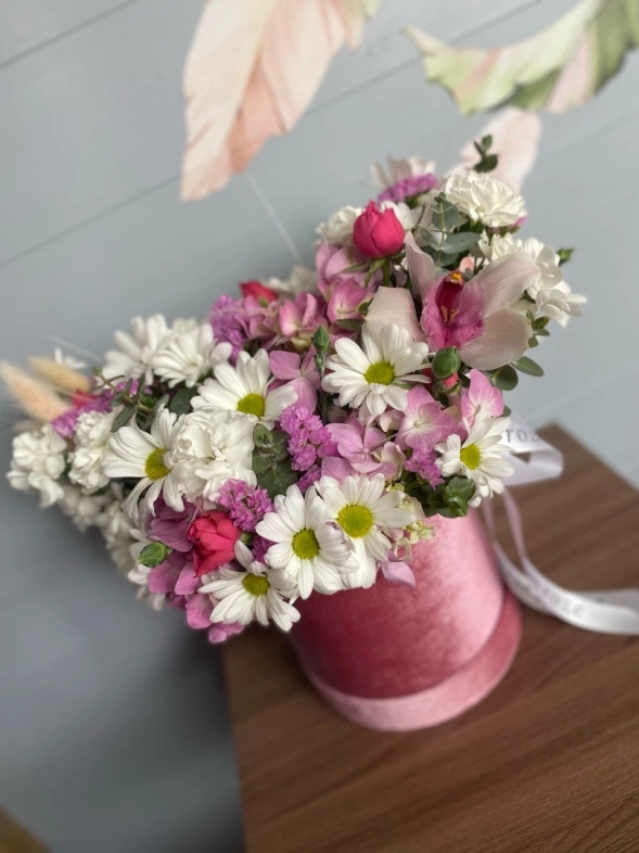 Нежный бокс