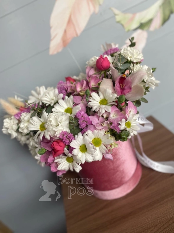 Нежный бокс