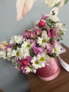 Нежный бокс 0