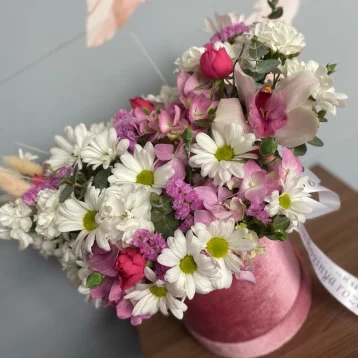 Нежный бокс