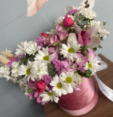 Нежный бокс