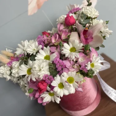 Нежный бокс