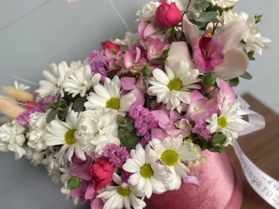 Нежный бокс