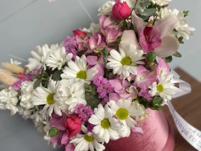 Нежный бокс