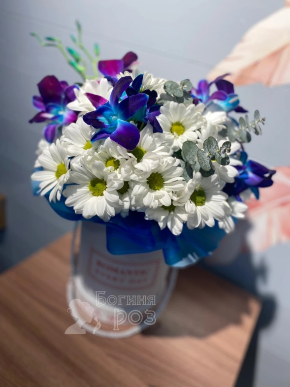 Орхидей с хризантемой