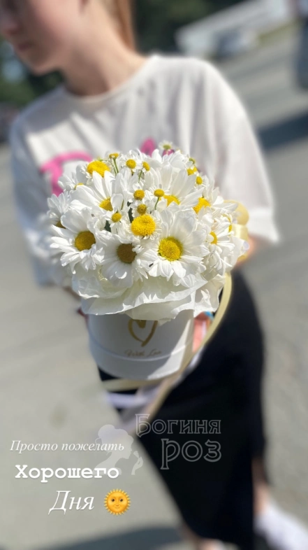 Хорошего дня