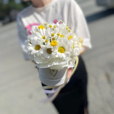 Хорошего дня