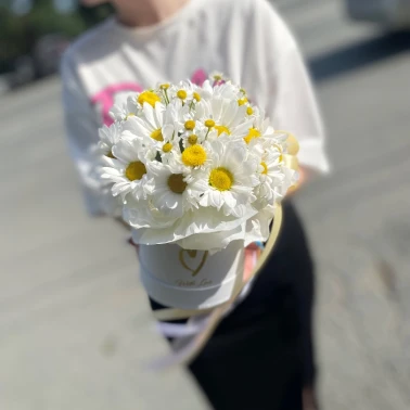 Хорошего дня