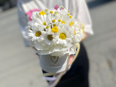 Хорошего дня