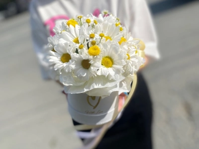 Хорошего дня