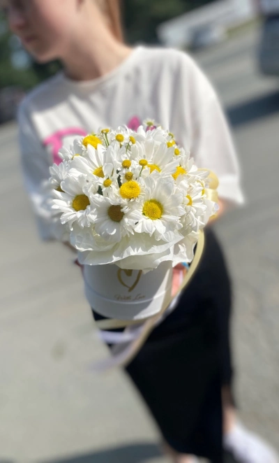 Хорошего дня