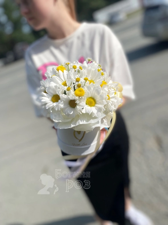 Хорошего дня