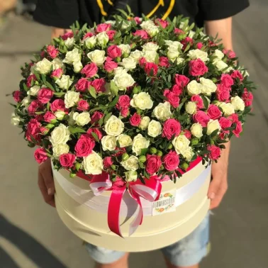 Сливочное мороженое