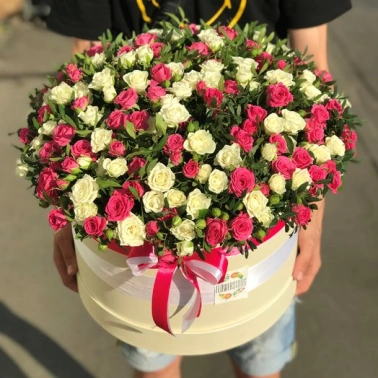 Сливочное мороженое