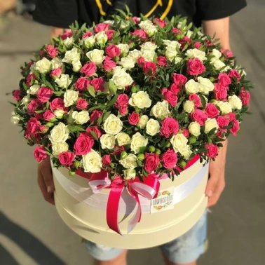 Сливочное мороженое