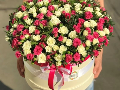 Сливочное мороженое