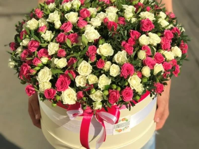 Сливочное мороженое