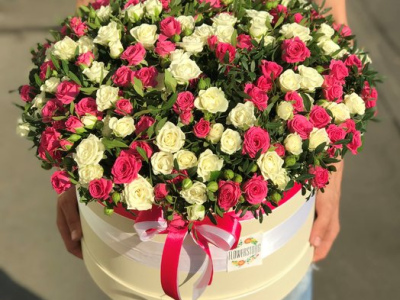 Сливочное мороженое