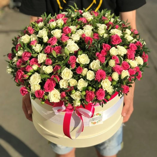 Сливочное мороженое