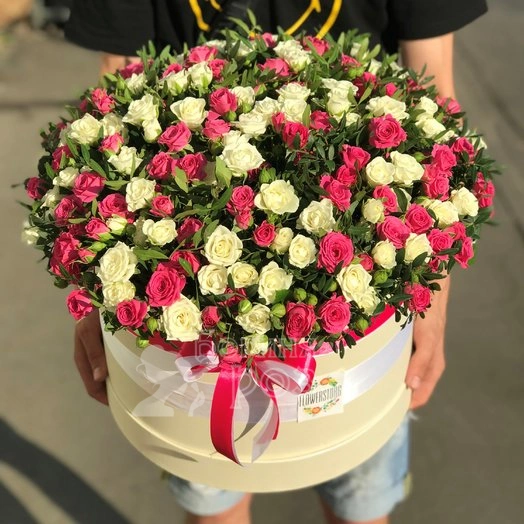 Сливочное мороженое