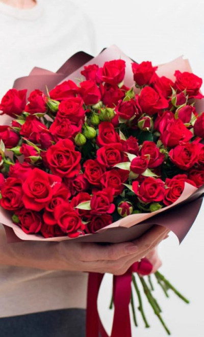 Ночной мотылек