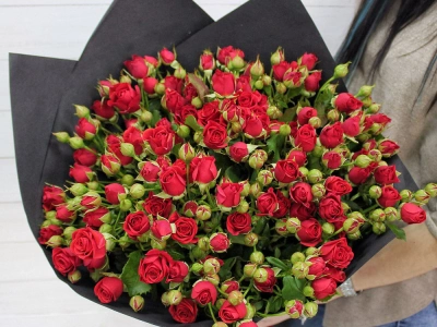 Вишня спелая