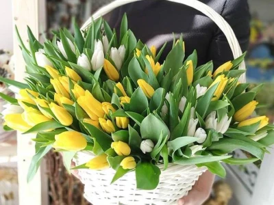 Корзина с тюльпанами
