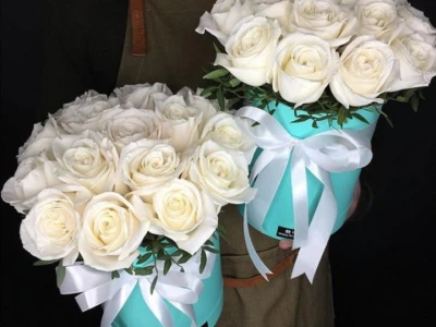 Синичка птичка