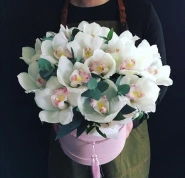 Бабочки белые 0