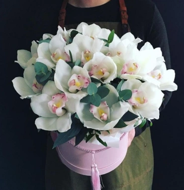 Бабочки белые