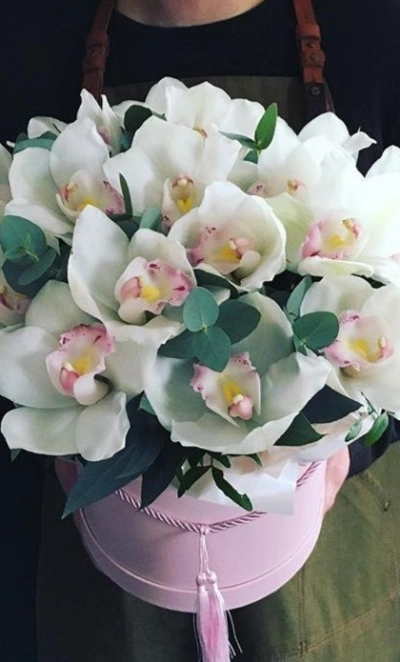 Бабочки белые