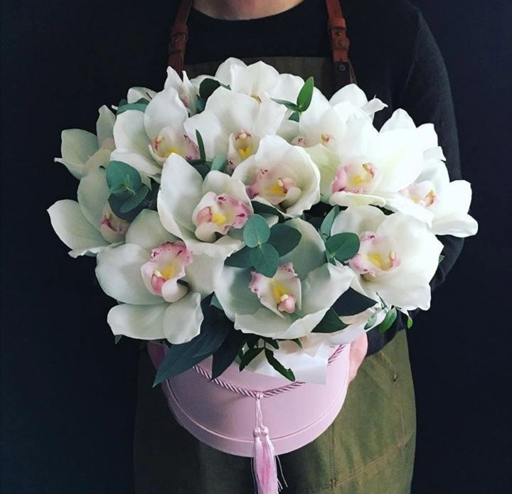 Бабочки белые