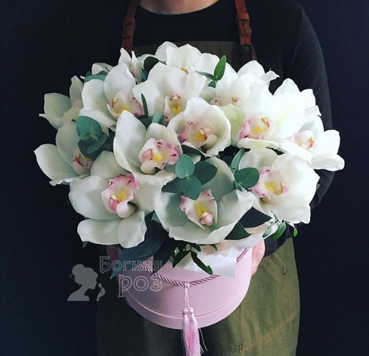 Бабочки белые