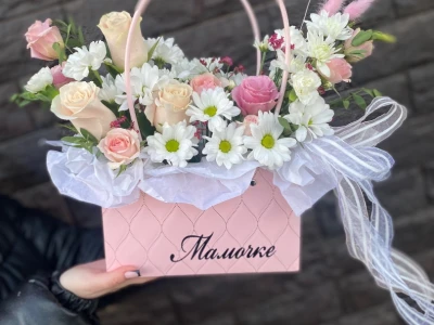 Сумка мамочке