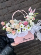 Сумка мамочке 1