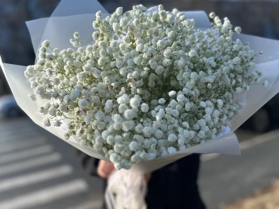 Букет из гипсафилы «Облако»