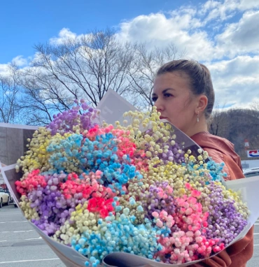 Гипсафила разноцветная