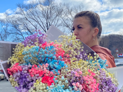 Гипсафила разноцветная