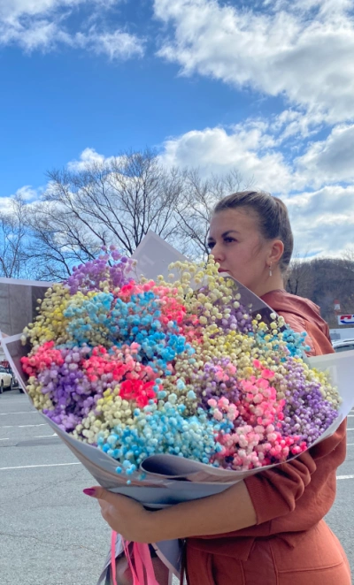 Гипсафила разноцветная