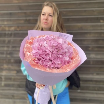 Розовая Гортензиия