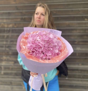 Розовая Гортензиия