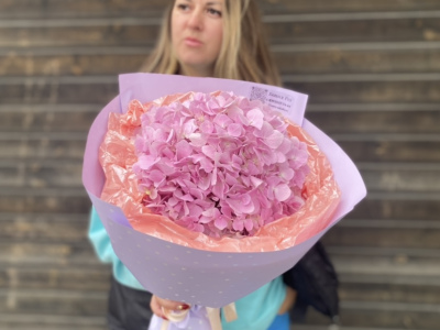 Розовая Гортензиия