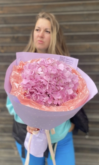 Розовая Гортензиия