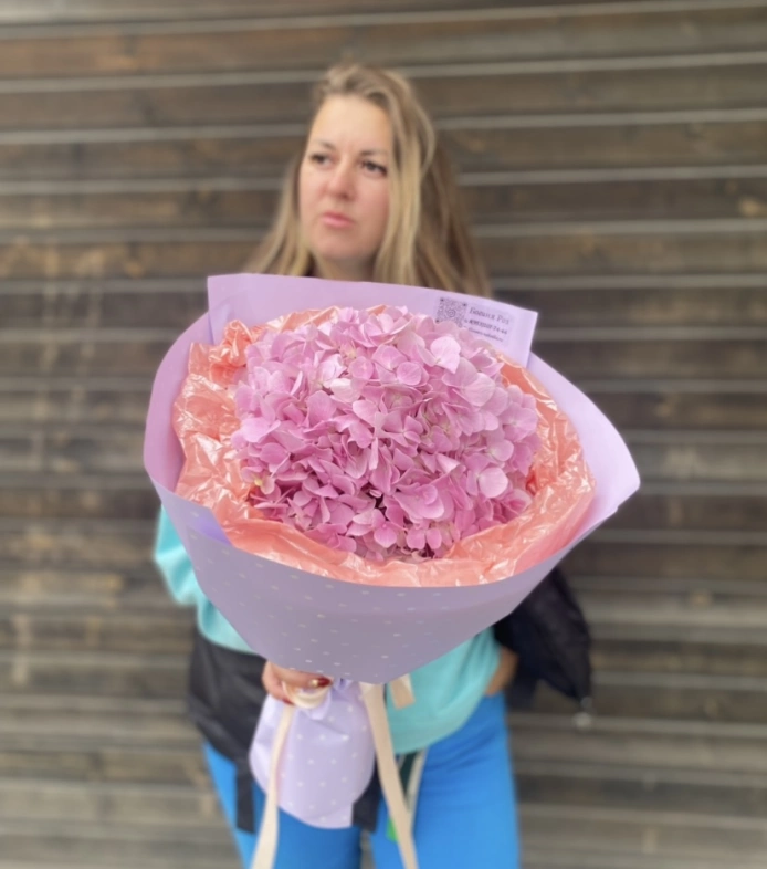 Розовая Гортензиия