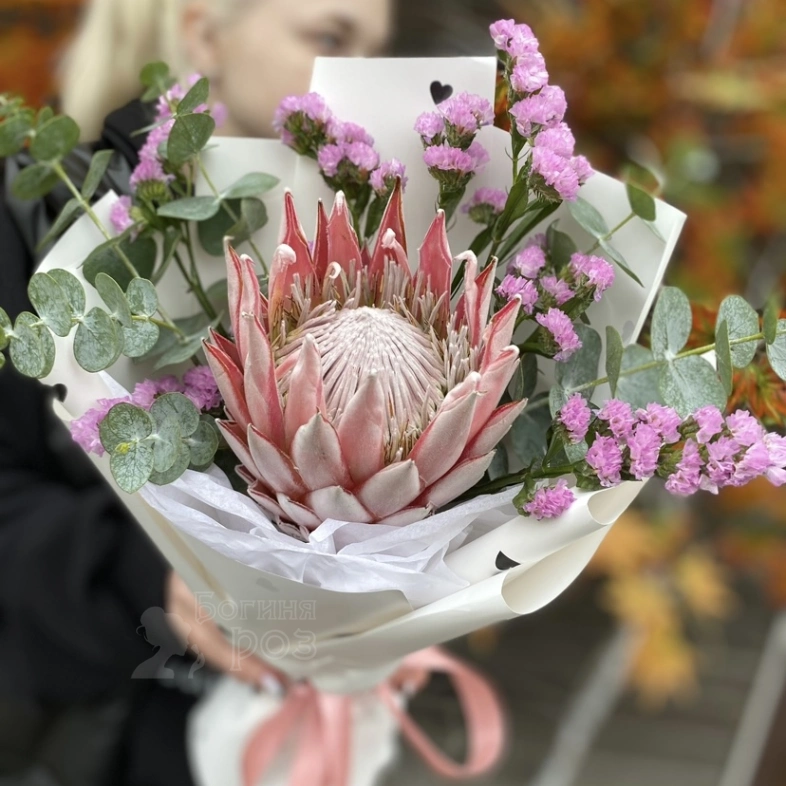 Букет из королевской протеи