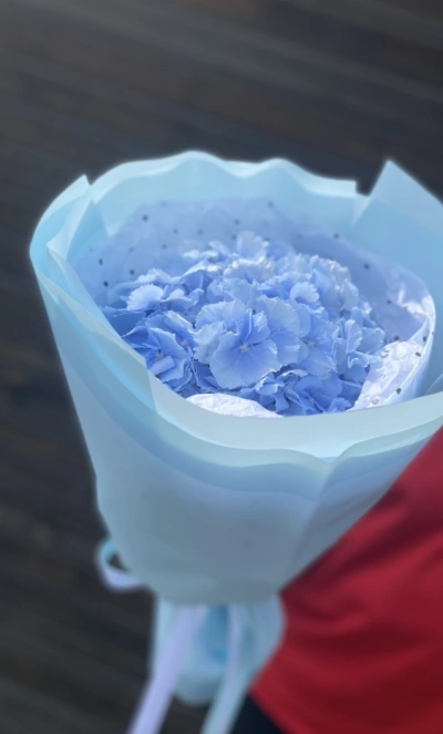 Голубая Гортензия