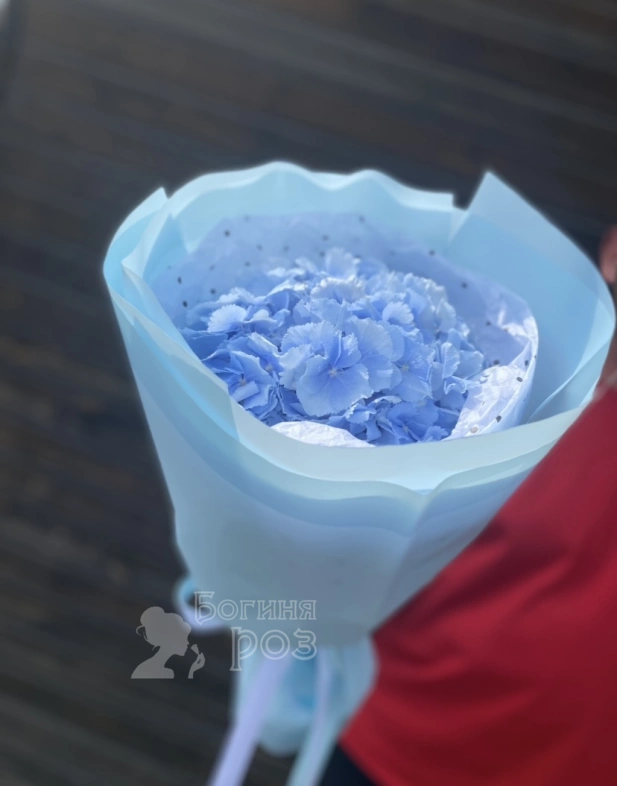 Голубая Гортензия