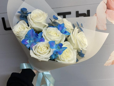 Облако нежности